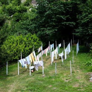 panni stesi in giardino